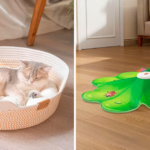 75 Weird Things For Your Cat That Are Actually Life-Changing