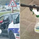 11 Chaotic Photos You Just Have to Accept at Face Value