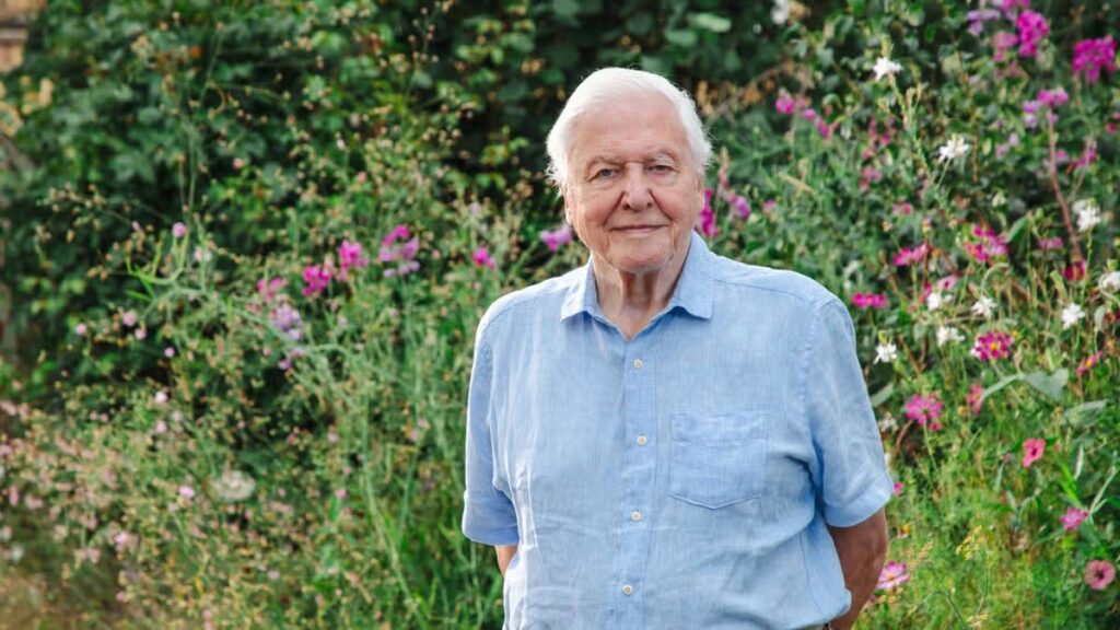 Sir David Attenborough health update as legend sparks concern over NTAs no-show