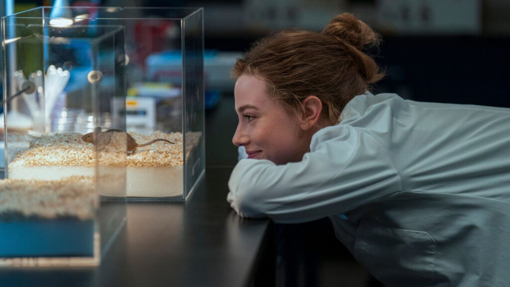 ‘The Love Hypothesis’ Review: Proof that Book-to-Screen Adaptations can work