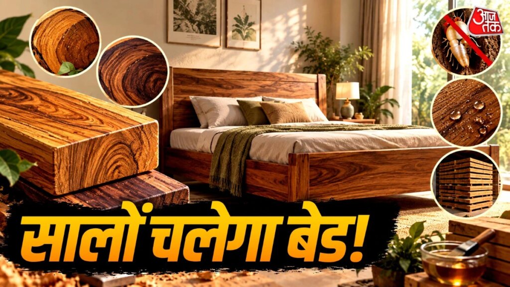बेड बनवाने के लिए कौन सी लकड़ी है सबसे मजबूत? सालों-साल नहीं होगी खराब, दीमक भी रहेगी दूर – Which is the best wood forbed ke liye sabse majboot lakdi teak sheesham termite resistant wood deemak bhi nahi lagegi tvist