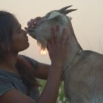 ‘Village Rockstars 2’ movie review: Rima Das returns with a psalm of resistance