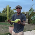 David Beckham impresses wife Victoria with his odd pumpkin after couple return from Reading festival