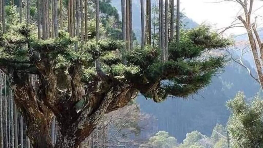 15 Awesome Photos Showing the Cool Parts of Our World