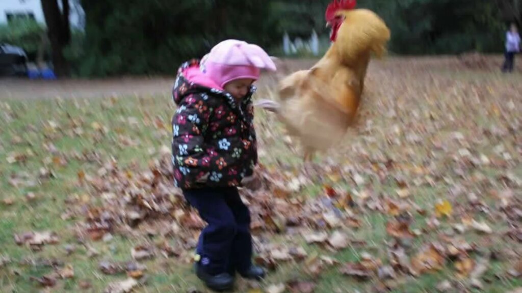15 Photos That Capture a Very Specific Kind of Chaos
