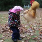 15 Photos That Capture a Very Specific Kind of Chaos