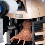 Daleks – The Fan-Favorite Doctor Who Monster Comes Home with a New Hachette Model