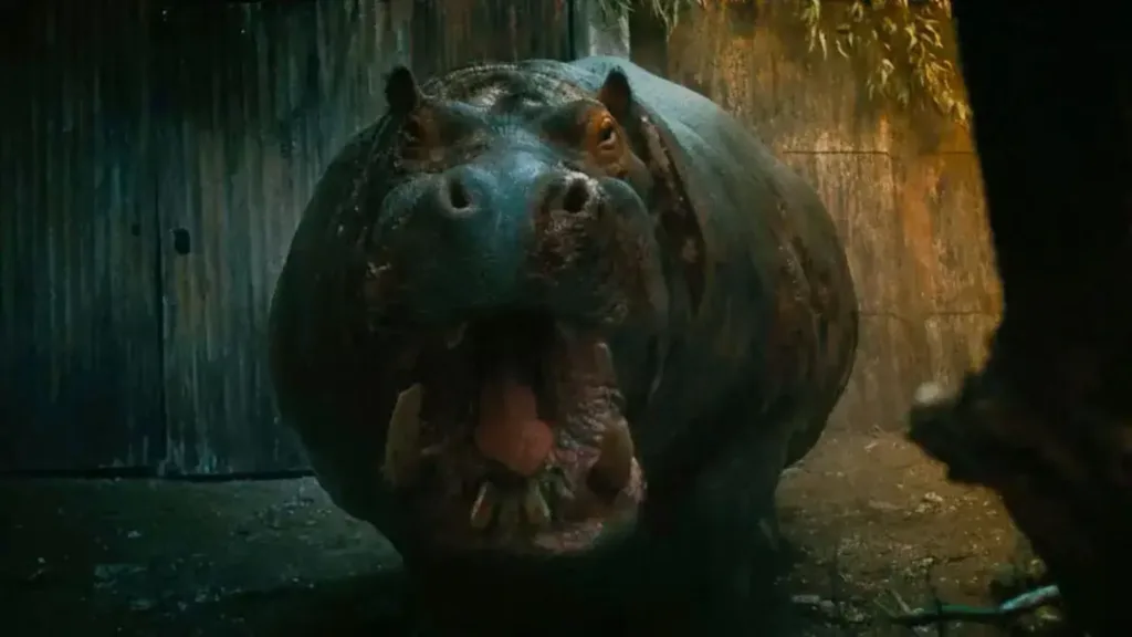 Hungry review — ‘Not here for a long time or a good time’