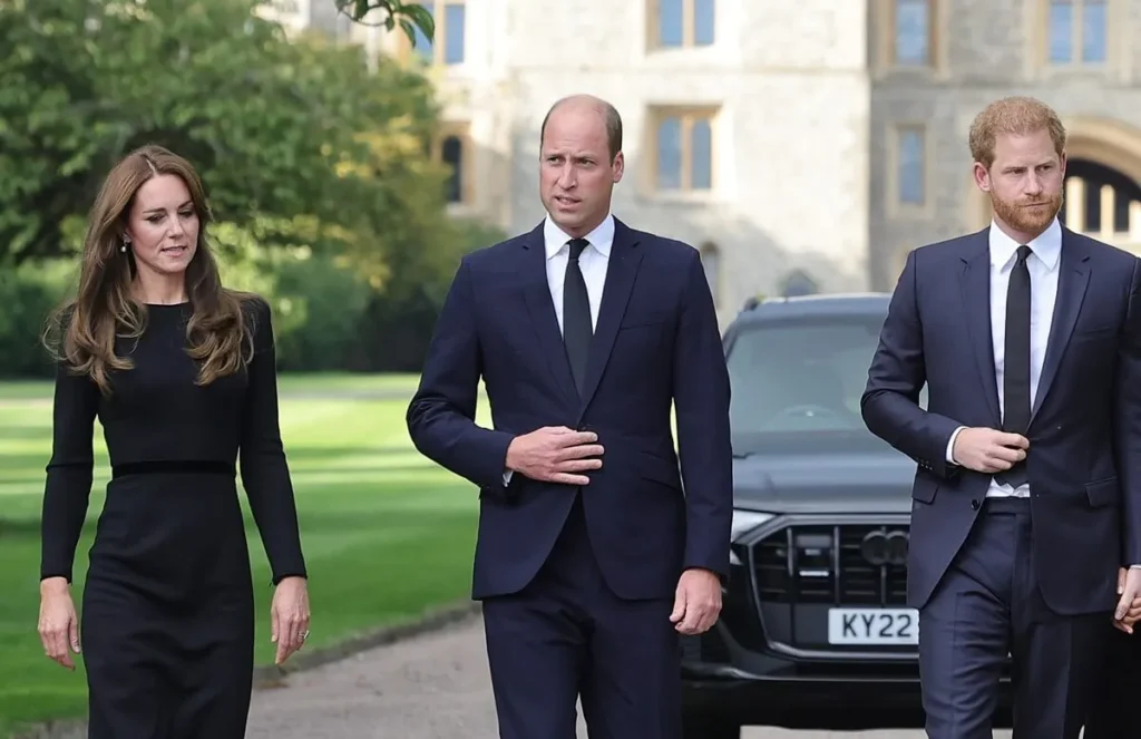 Psychic Predicts Prince Harry Will Argue With Prince William Behind Closed Doors and Keep His Distance from Kate
