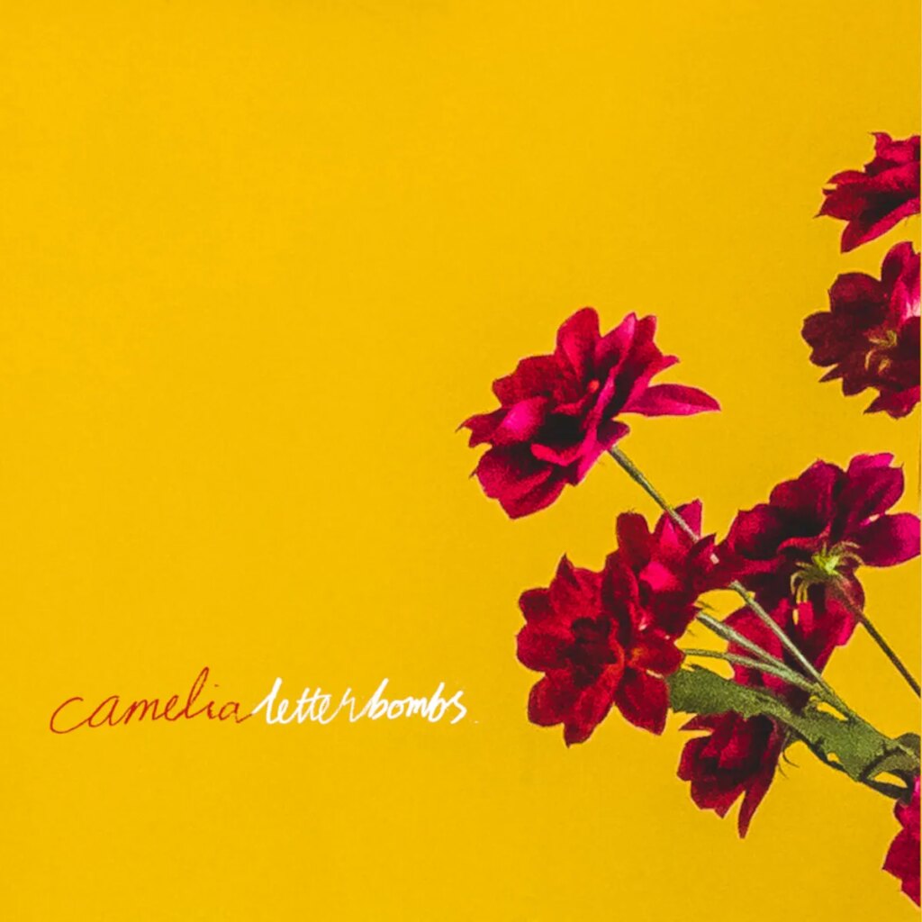 Letterbombs Share New Song “I’m Not Here To Enjoy My Life”