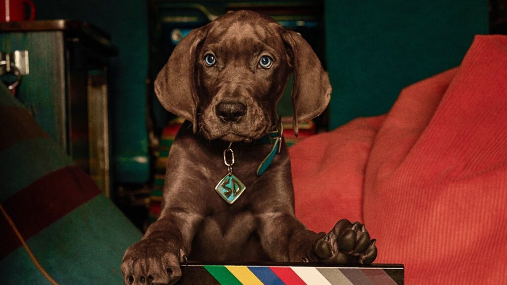 Live-Action SCOOBY-DOO: ORIGINS Wraps Filming With a Fresh Look at Mystery Inc. — GeekTyrant