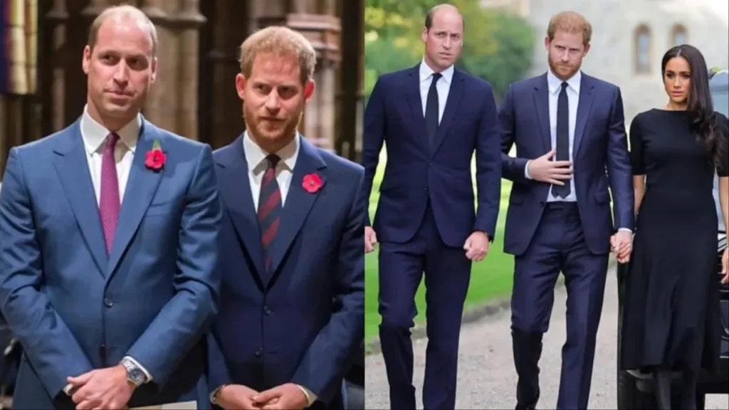 Prince William Insulted Meghan Markle With Three Brutal Words Before Physical Fight With Prince Harry