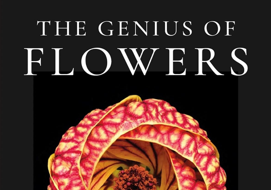 Flower Power: Taylor Swift, Ed Sheeran, Dolly Parton, George Harrison, More Blossom in Jill Brooke’s Stunning Holiday Book, “Genius of Flowers”