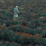 Vanishing bonds: Ankur Hooda’s The Calf Doll exposes the price of progress
