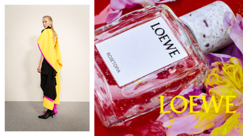 Loewe Crafted Collection 2026: Fragrance Review