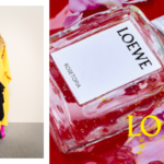 Loewe Crafted Collection 2026: Fragrance Review