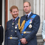 Prince William Reportedly Left With ‘Intense Frustration’ Over Harry’s Real Reason For Relocating To The UK
