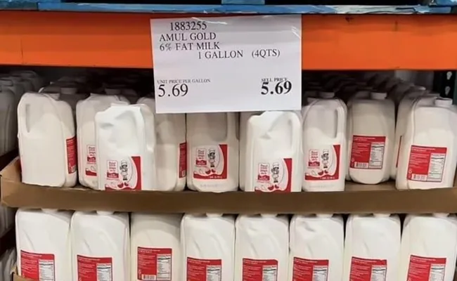 How Amul Milk Reached Costco Shelves in the US