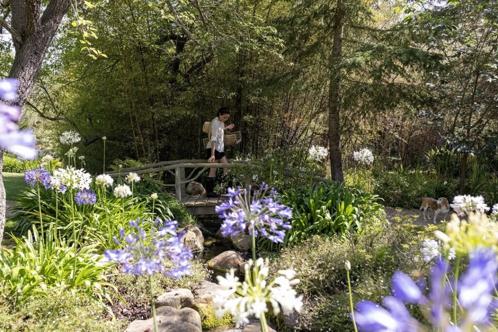 The Sussexes’ Montecito neighbors are really worried about their left-behind koi