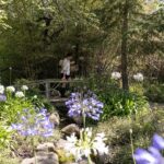 The Sussexes’ Montecito neighbors are really worried about their left-behind koi