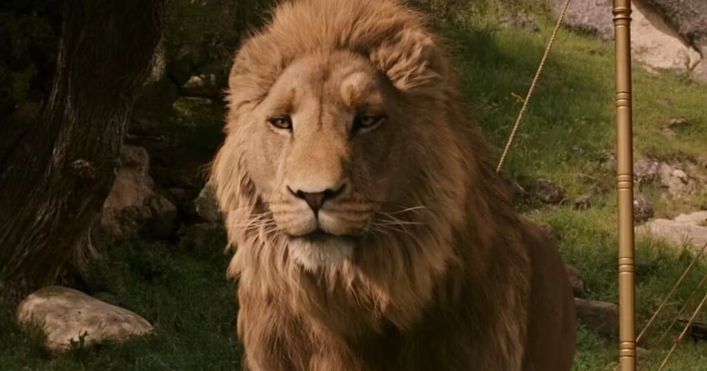 ‘Narnia’ Release Date, Cast, Plot, And Future Plans For Netflix’s Ambitious Fantasy Franchise