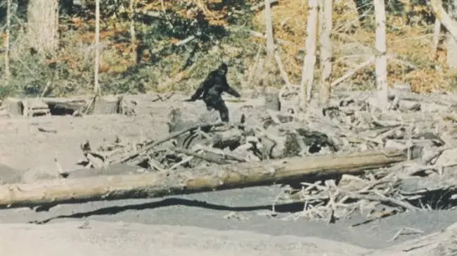 ‘Capturing Bigfoot’ Trailer: Documentary Opens on National Bigfoot Day