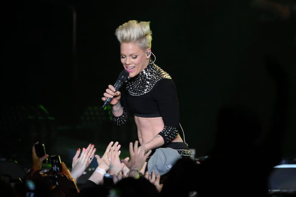 Pink shares statement after post criticising Macklemore’s free Palestine speech