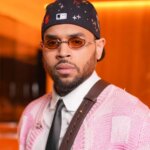 Chris Brown to Get New Dog Attack Trial, Unless Housekeeper Accepts New Award