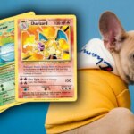 Pokemon TCG Players Urge Conventions to Take Action After Dog Breeders Offer Puppies in Exchange for Cards