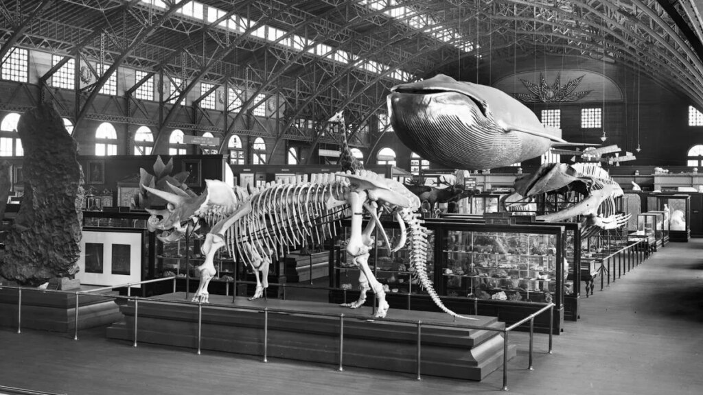 15 Photos Specifically for the History Nerds