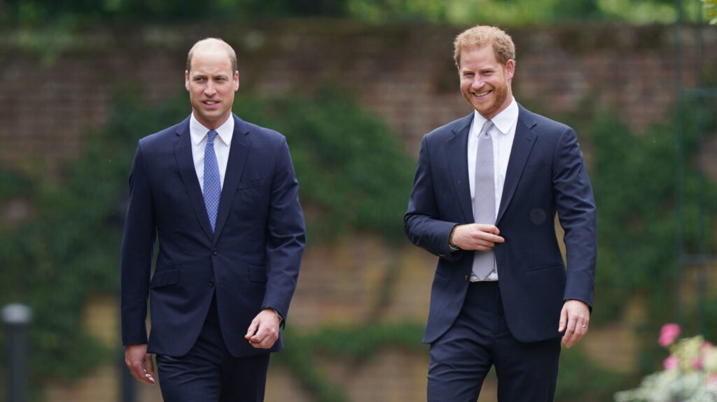 Prince William Reportedly Opts Out Of Projects Honoring Diana To Avoid Prince Harry Drama