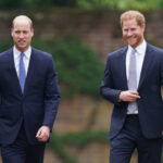 Prince William Reportedly Opts Out Of Projects Honoring Diana To Avoid Prince Harry Drama