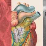 What Is LDL Cholesterol and How Do You Lower It?