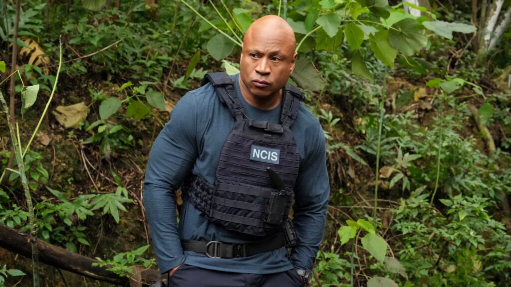 NCIS: New York Star Teases Spinoff’s Story & Potential Franchise Crossovers