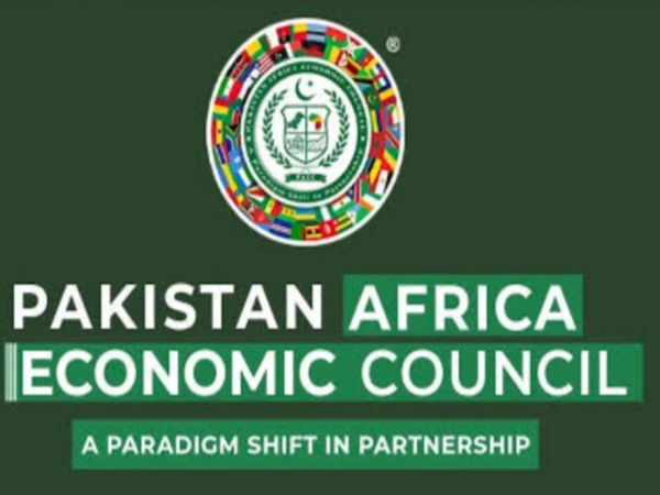 پاک-افریقہ اقتصادی کونسل؛ افریقہ انٹرپرینیورشپ پلیٹ فارم متعارف کروانے کا فیصلہ