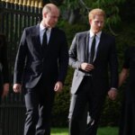 Prince William Wants ‘No Relationship’ With Brother