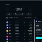 Crypto casinos want wallet integrations that hit fast – Film Daily