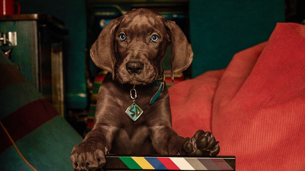 ‘Scooby-Doo: Origins’ Wraps Production, Netflix Confirms 2027 Release | Just Jared