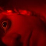 Clayface Final Trailer Leans Into Classic Batman Tropes