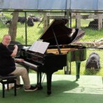 Rick Wakeman Performs For 150 Rescued Moon Bears