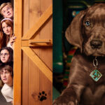 Mckenna Grace, Tanner Hagen & More Wrap Filming on ‘Scooby-Doo: Origins,’ Live-Action Series To Debut In 2027