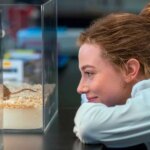 5 Huge Changes Between The Love Hypothesis Movie & Book