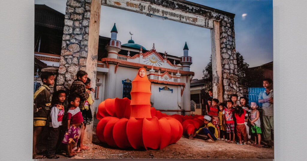 Anida Yoeu Ali is ‘The Buddhist Bug’ in a compelling exhibit at VPMA