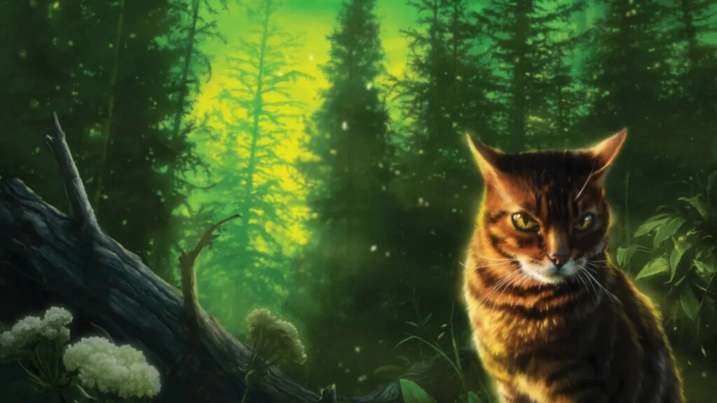 New Cat Species Discovered in Bolivia