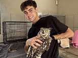 Kyle’s Wildlife Heroes | Daily Mail Online