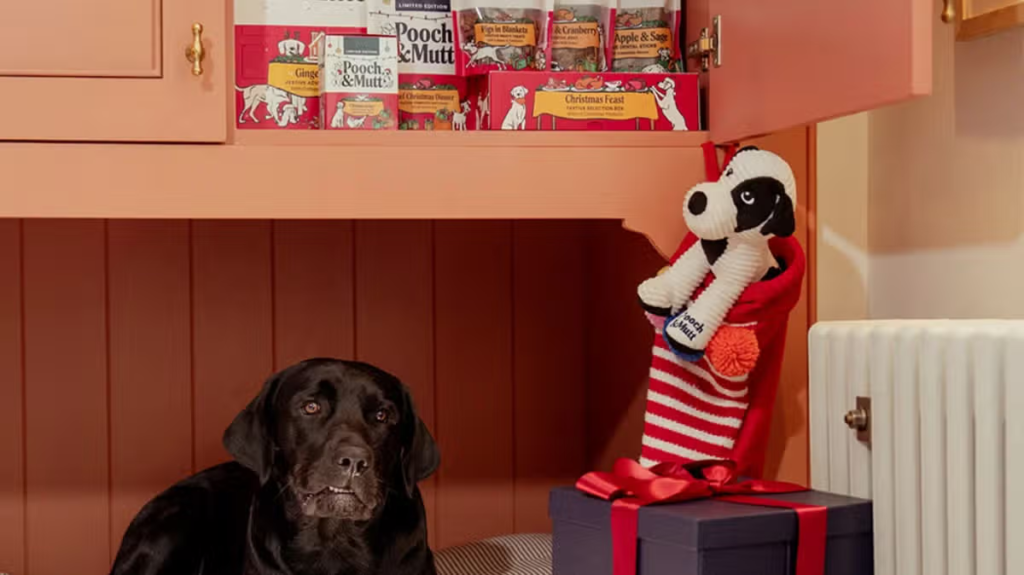 ‘Perfect pooch present’ now £10 is an ‘absolute winner’ even ‘fussy Dachshunds love it’