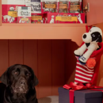 ‘Perfect pooch present’ now £10 is an ‘absolute winner’ even ‘fussy Dachshunds love it’