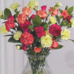 ‘My go-to’ florist with ‘beautiful’ bouquets from £22 that ‘last three weeks’