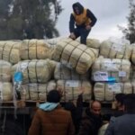 WHO Says Gaza Hospitals Remain Under Strain as Aid Supplies Face Long Delays