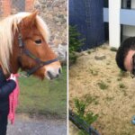 15 Photos Encouraging You to See Things from Multiple Perspectives
